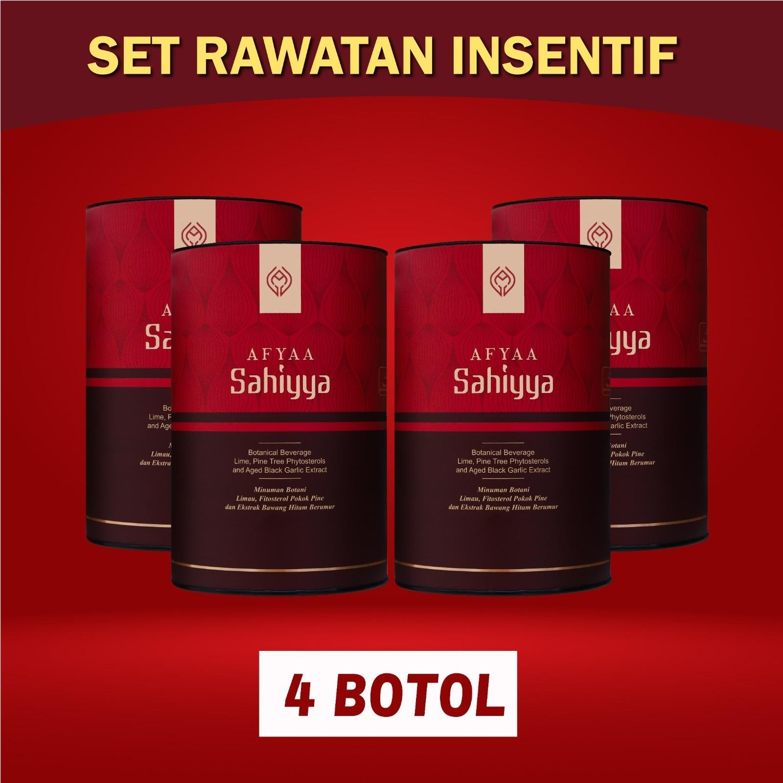 SET PROMOSI